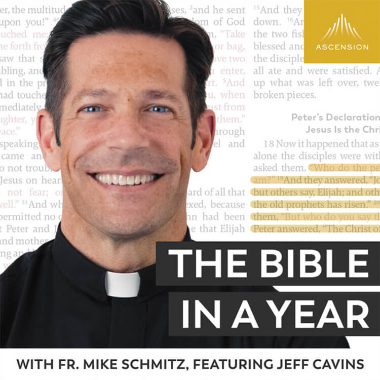 The Bible In A Year with Fr. Mike Schmitz