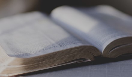16 9 Banner Bible